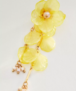 Fashion Accessories